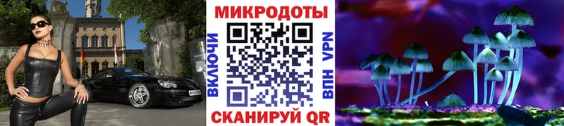 blacksprut   Аксай  Галлюциногенные грибы Psilocybine cubensis 